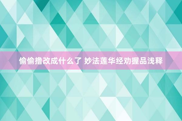 偷偷撸改成什么了 妙法莲华经劝握品浅释