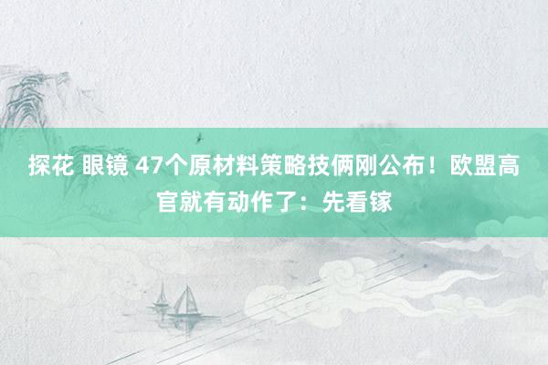 探花 眼镜 47个原材料策略技俩刚公布！欧盟高官就有动作了：